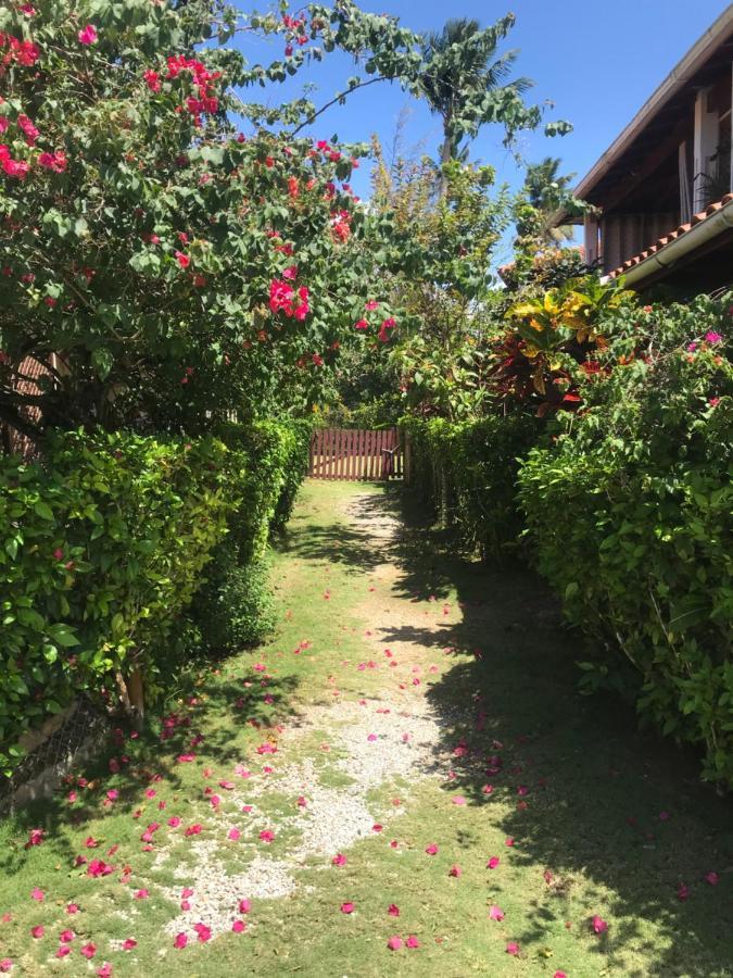 Cozy Oceanfront Villa With Direct Beach Access Las Terrenas Dış mekan fotoğraf