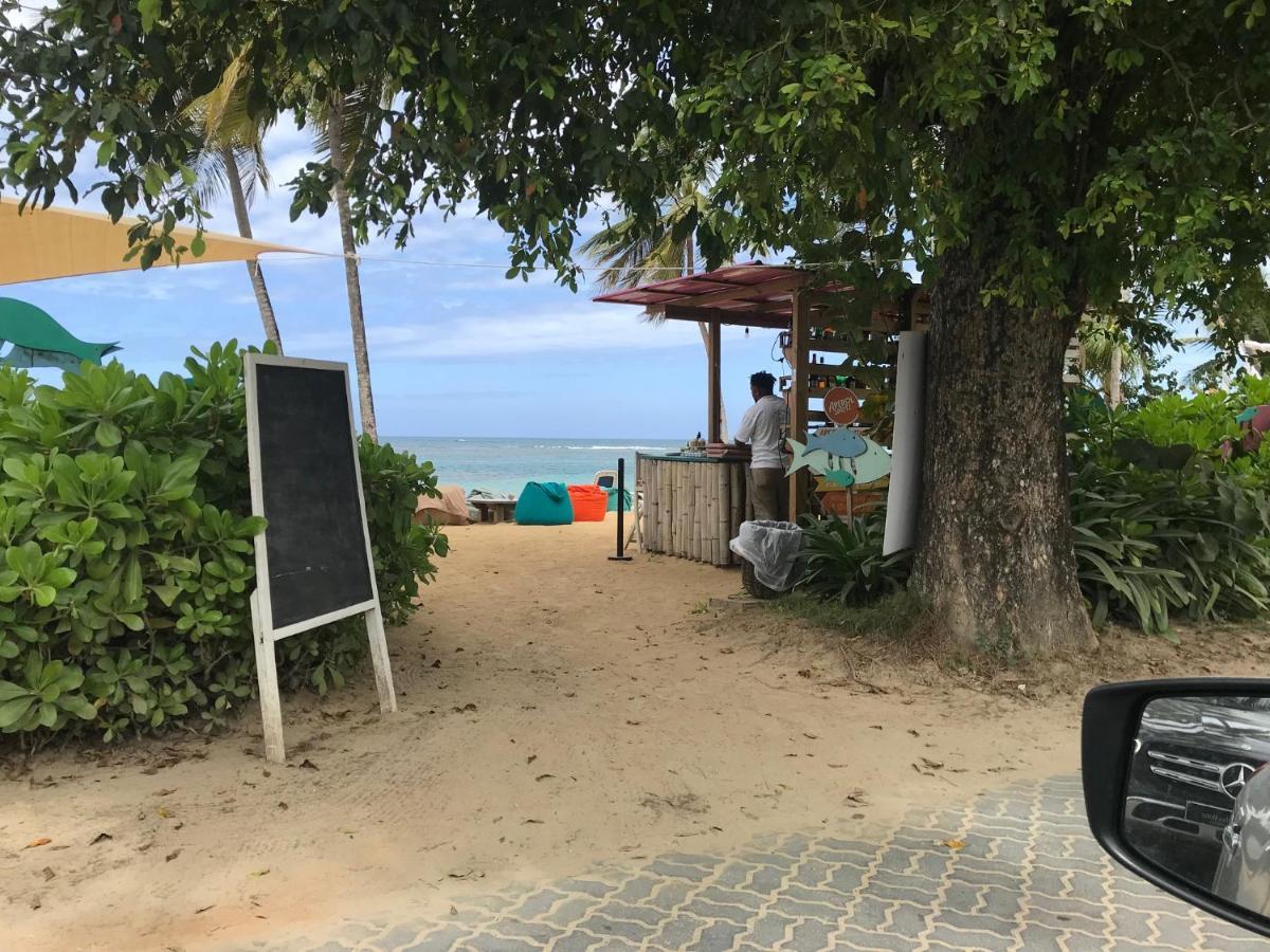 Cozy Oceanfront Villa With Direct Beach Access Las Terrenas Dış mekan fotoğraf
