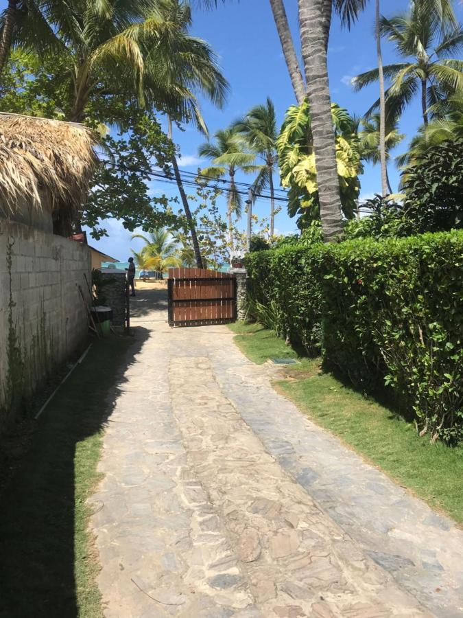 Cozy Oceanfront Villa With Direct Beach Access Las Terrenas Dış mekan fotoğraf